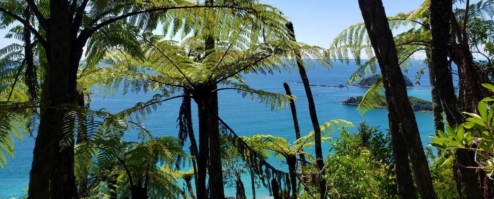 View from Mt Maunganui
